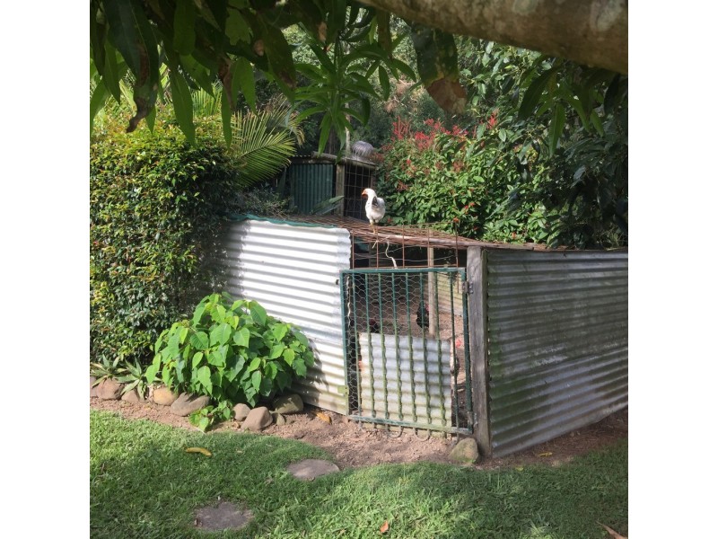 1518 Numinbah Road, Chillingham NSW 2484