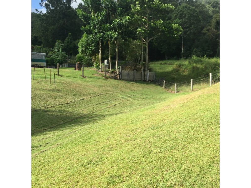 1518 Numinbah Road, Chillingham NSW 2484