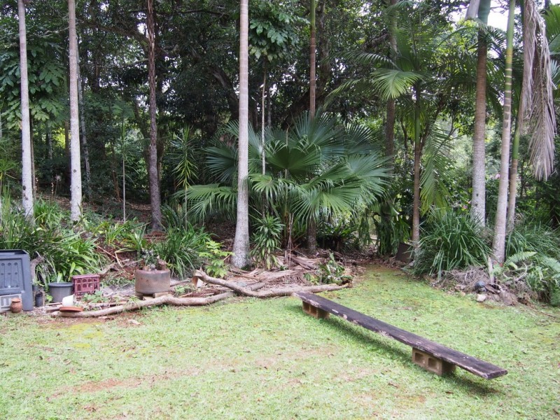 114 Crooks Valley Road, Crystal Creek NSW 2484