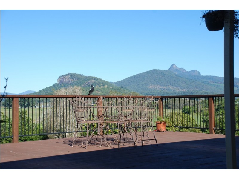 41 Riveroak Drive, Murwillumbah NSW 2484