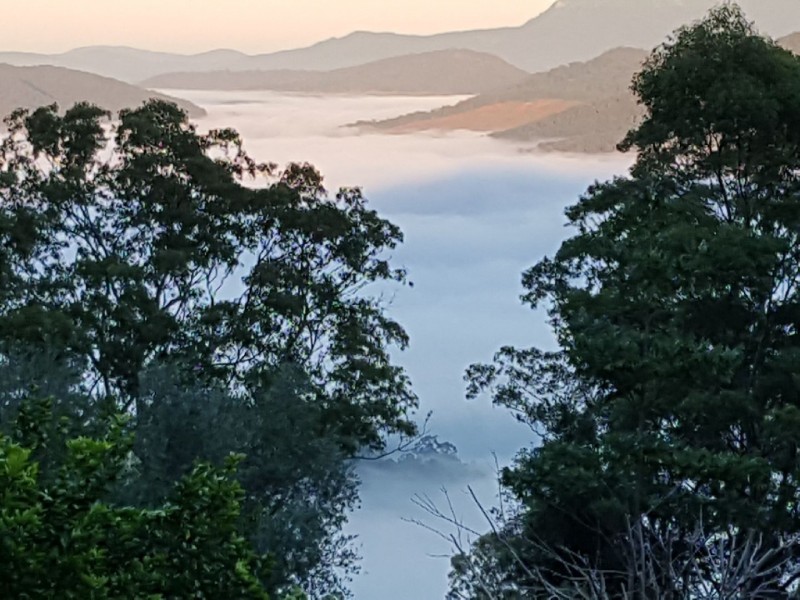 Lot 39 Glenock Road, Uki NSW 2484