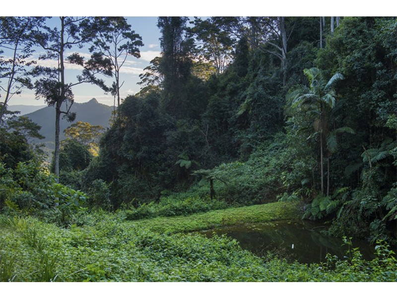 Lot 39 Glenock Road, Uki NSW 2484