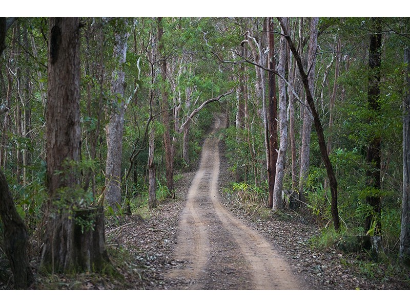 Lot 39 Glenock Road, Uki NSW 2484