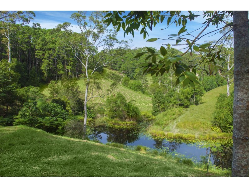 73 Upper Duroby Creek Rd, Upper Duroby NSW 2486