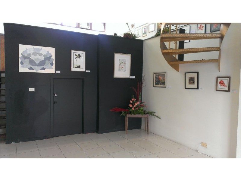 105 Murwillumbah Street, Murwillumbah NSW 2484