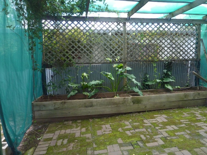 7 Hazel Grove, Ridgehaven SA 5097