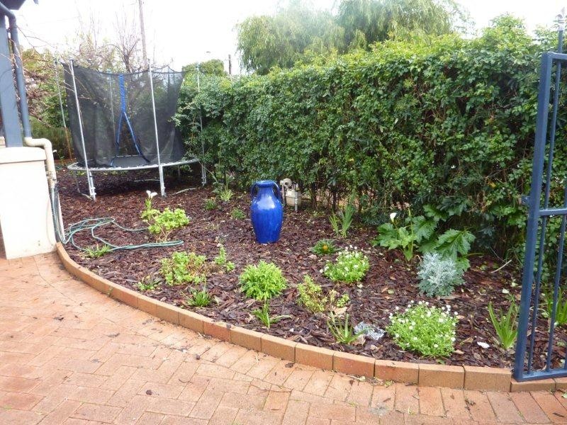 14 Clairville Rd, Campbelltown SA 5074