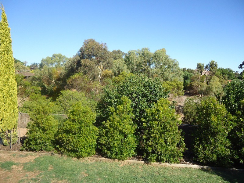 15 Foulis Court, Wynn Vale SA 5127