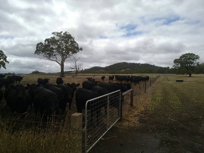 Lot 1/ Levett Road, Kersbrook SA 5231