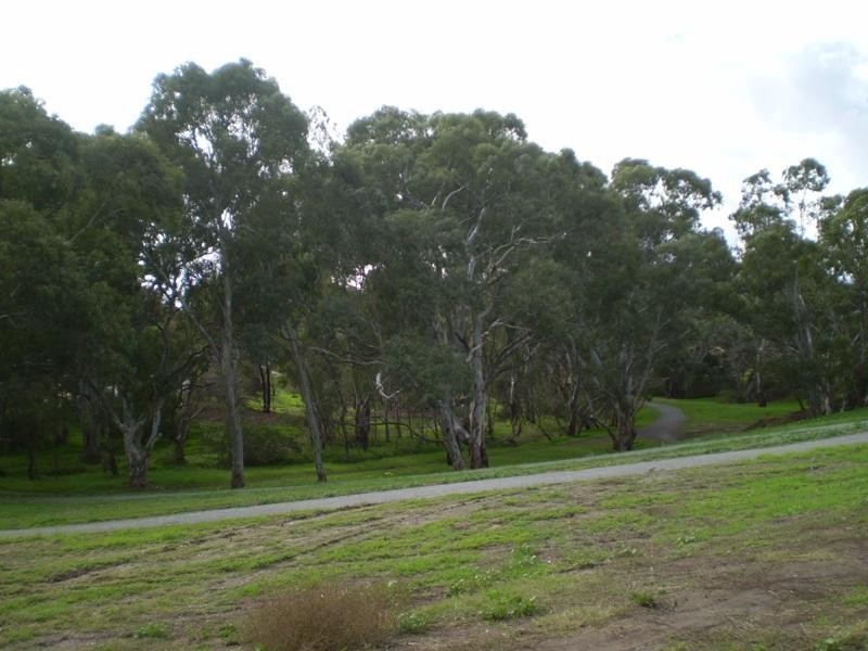 46 Greenway Drive, Surrey Downs SA 5126