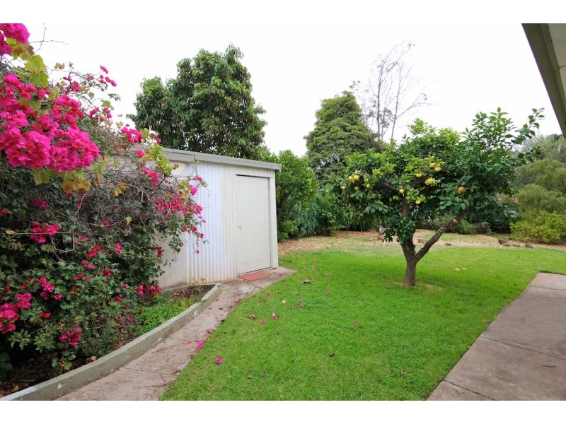 36 Connie Street, Modbury SA 5092
