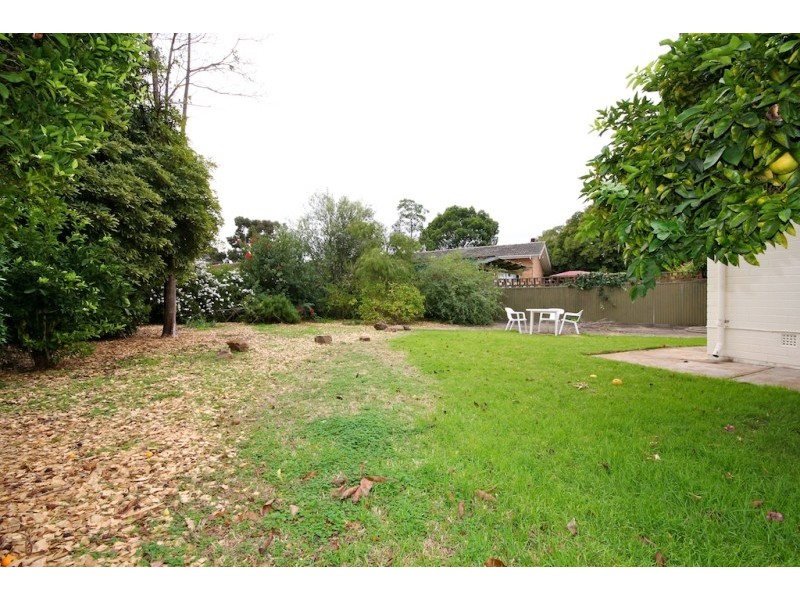 36 Connie Street, Modbury SA 5092
