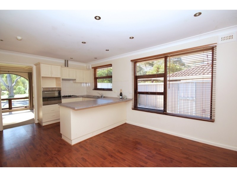 29 Haddington Street, Valley View SA 5093
