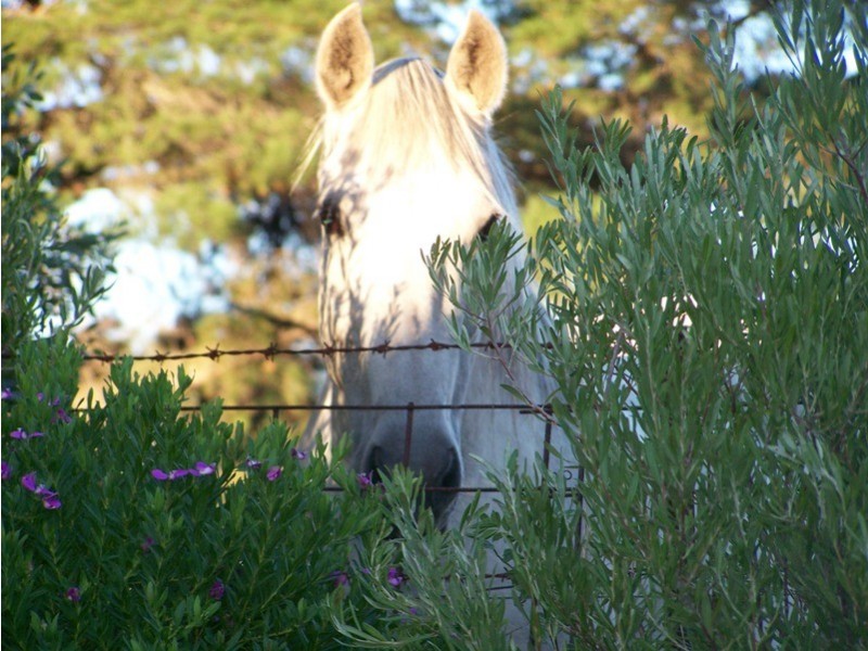 22 Memorial Court, Kersbrook SA 5231