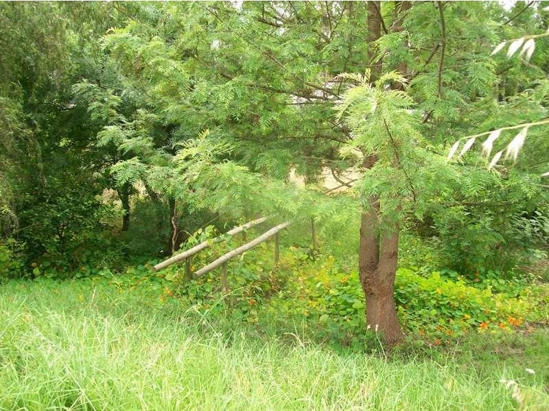 4 Protea Court, Banksia Park SA 5091