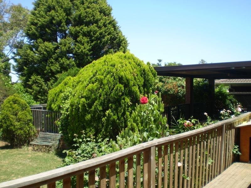 29 Carole Crescent, Modbury SA 5092