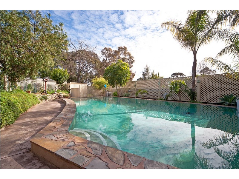 6 Launceston Avenue, Banksia Park SA 5091