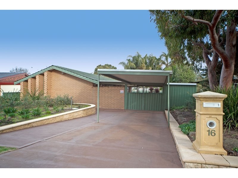 16 Roebling Street, Modbury Heights SA 5092