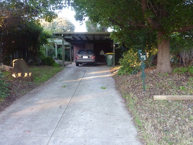 101B Ladywood Rd, Modbury Heights SA 5092