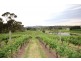 149B Murphy Road, Houghton SA 5131