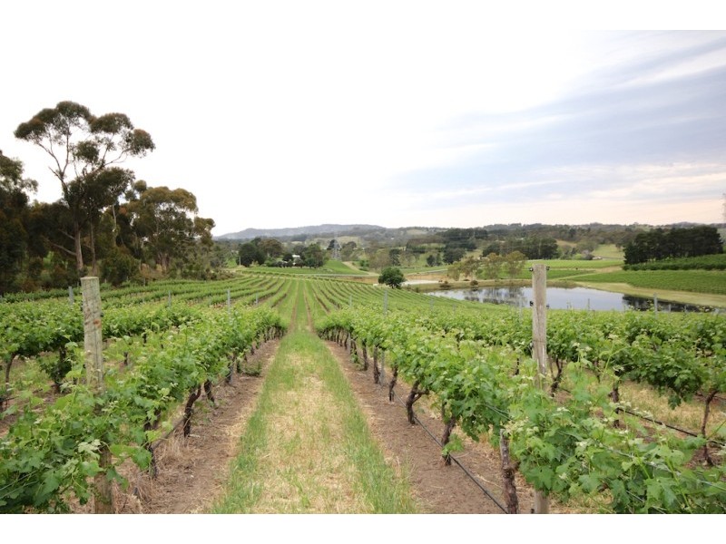 149B Murphy Road, Houghton SA 5131