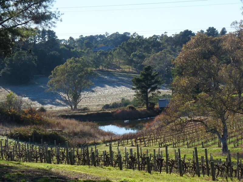 149B Murphy Road, Houghton SA 5131