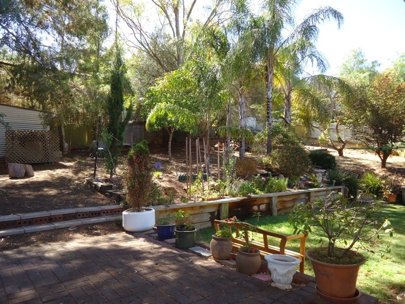 78 Haines Road, Banksia Park SA 5091