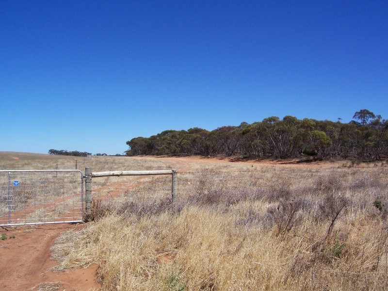 Lot 8 Cockshell Road, Bowhill SA 5238