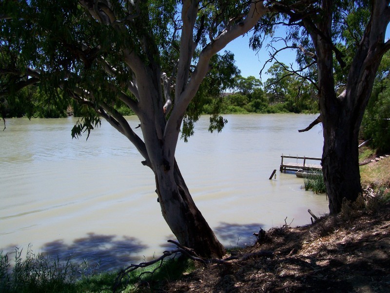 Lot 8 Cockshell Road, Bowhill SA 5238