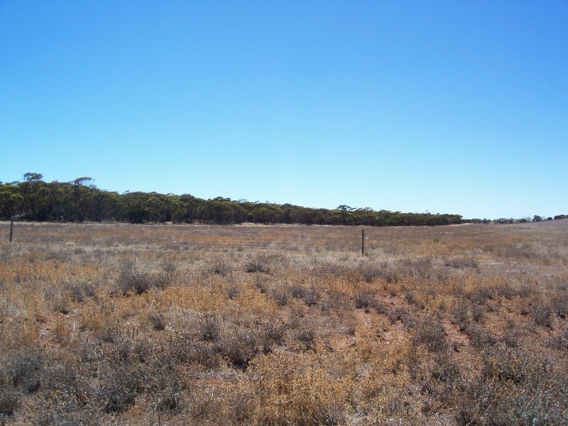 Lot 8 Cockshell Road, Bowhill SA 5238