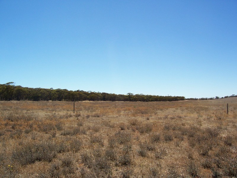 Lot 8 Cockshell Road, Bowhill SA 5238