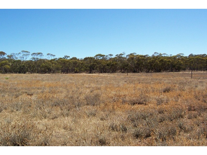 Lot 8 Cockshell Road, Bowhill SA 5238