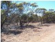 Lot 8 Cockshell Road, Bowhill SA 5238