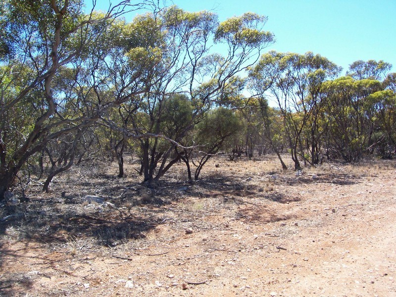 Lot 8 Cockshell Road, Bowhill SA 5238