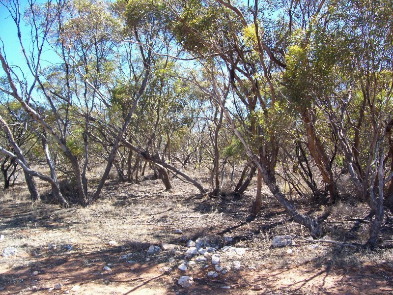 Lot 8 Cockshell Road, Bowhill SA 5238