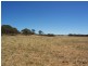 Lot 8 Cockshell Road, Bowhill SA 5238