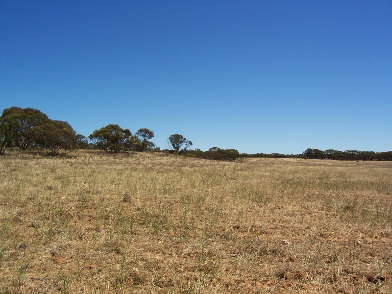 Lot 8 Cockshell Road, Bowhill SA 5238