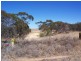 Lot 8 Cockshell Road, Bowhill SA 5238