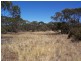 Lot 8 Cockshell Road, Bowhill SA 5238