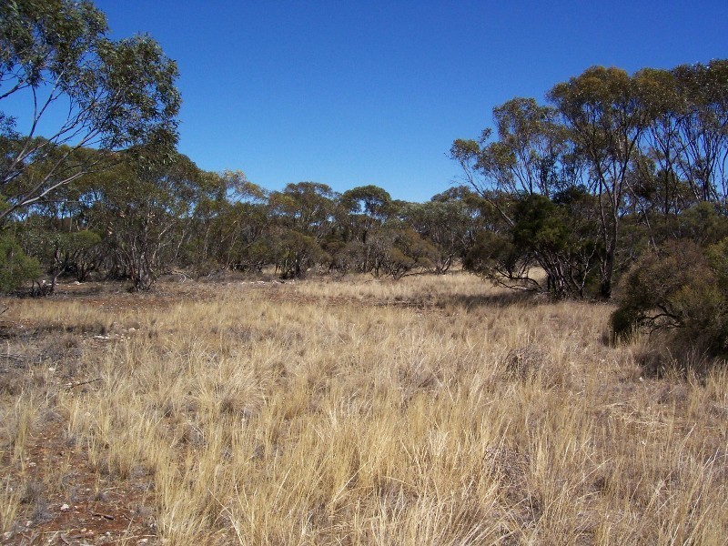 Lot 8 Cockshell Road, Bowhill SA 5238