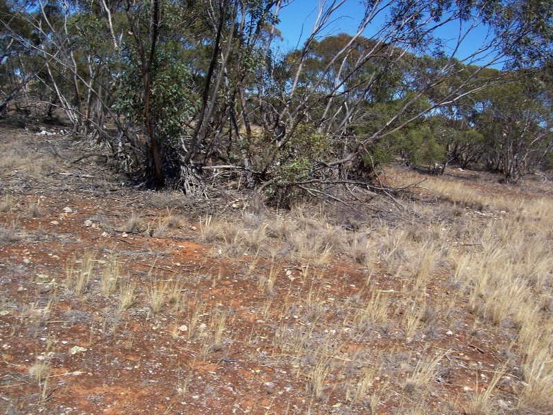 Lot 8 Cockshell Road, Bowhill SA 5238