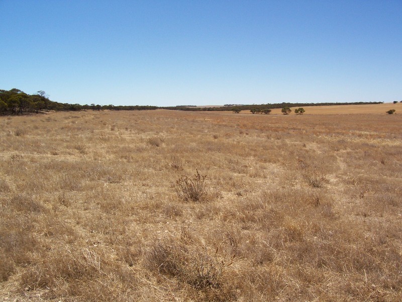 Lot 8 Cockshell Road, Bowhill SA 5238
