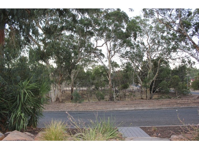 2 Birkdale Close, Fairview Park SA 5126