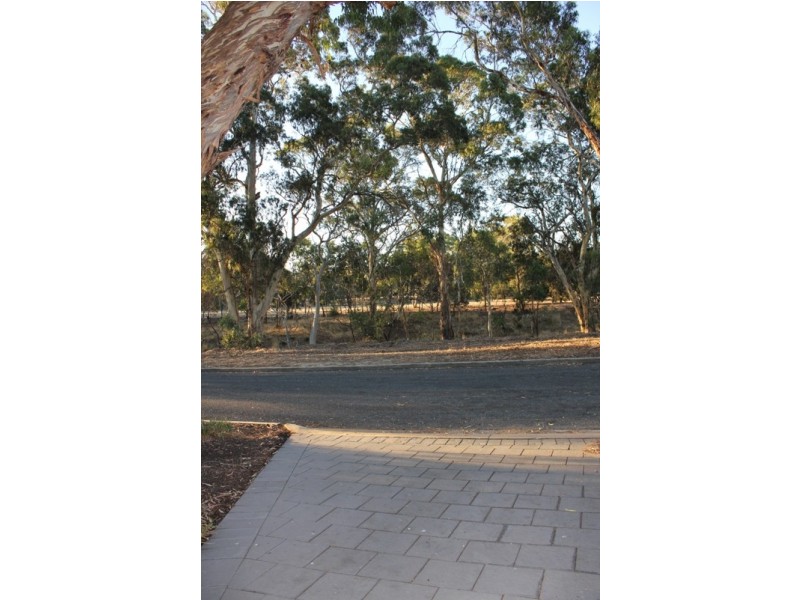 2 Birkdale Close, Fairview Park SA 5126