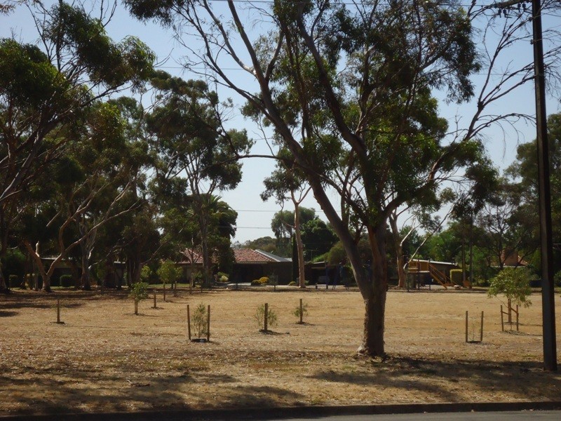 31 Cheryl Avenue, Valley View SA 5093