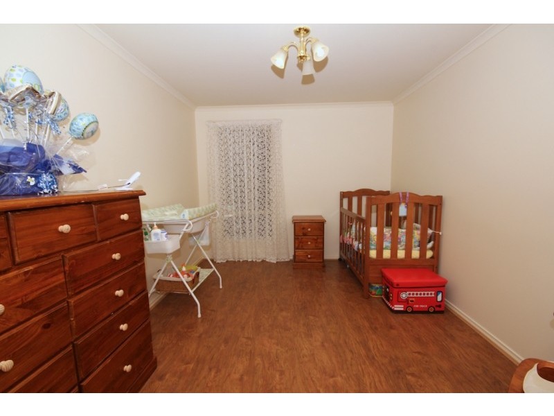 3 Rambutan Court, Greenwith SA 5125