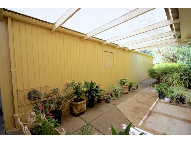 5 Seymour Grove, Campbelltown SA 5074