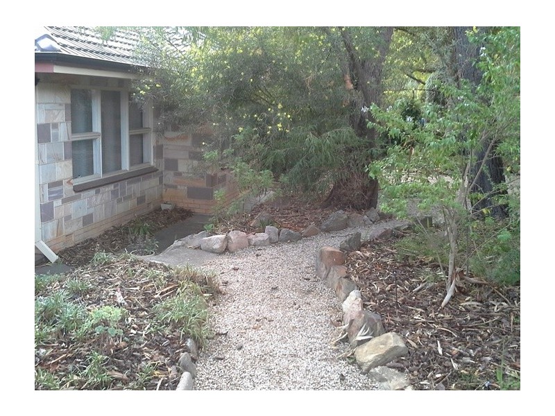 29 North Boulevard, Tea Tree Gully SA 5091