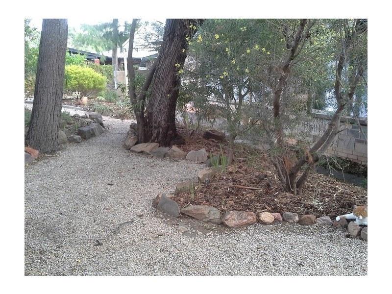 29 North Boulevard, Tea Tree Gully SA 5091