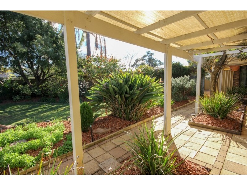 8 Zenith Close, Surrey Downs SA 5126